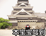 1453971124613073.gif 0.gif
