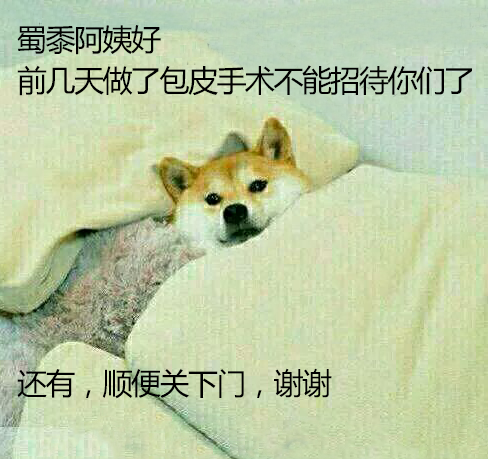 1454405029947720.png lALOB3uCx80By80B6A_488_459.png