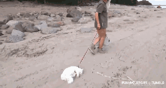 1455537781890048.gif 000.gif