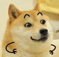 1455611518311923.gif 9[O4N(OGFP3S[MKDPF[BZ~L.gif