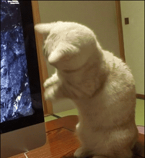 1456302338220777.gif 005RkUL1gw1f17a68qrtqg308b093qv5 (1).gif