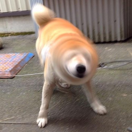 1456302435626983.jpg d1115953.jpg