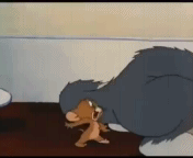 1456823123891277.gif 2cc000069e6c7a4eb20.gif