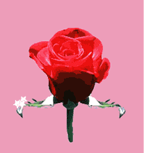 1457000093634875.gif 283000b2d3df9e4e621.gif