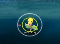 《精灵宝可梦GO》★翔子★第5期:占领道馆的正确姿势!