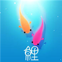 鲤Koi